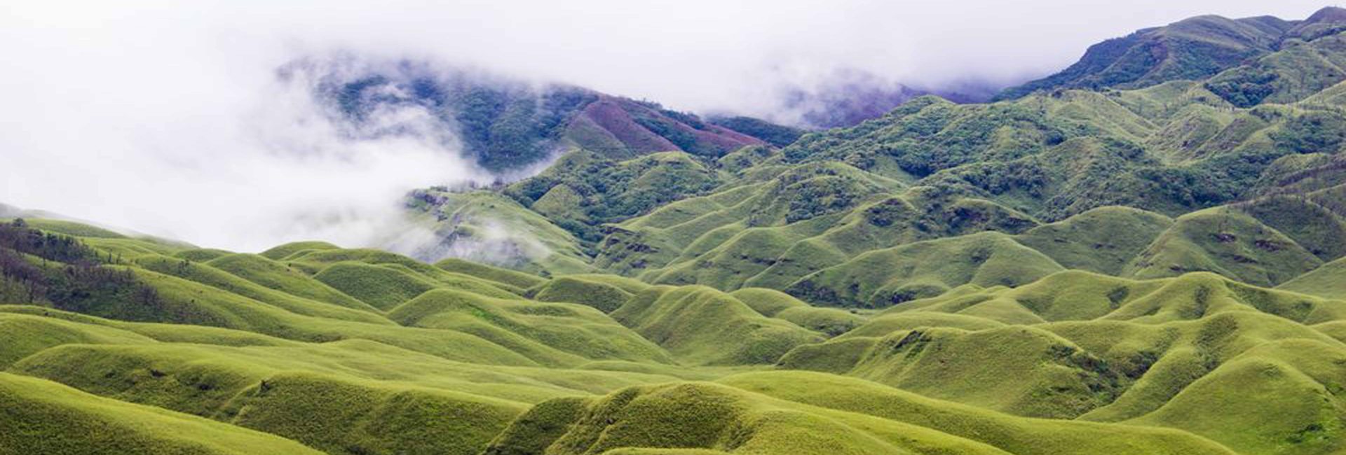 Dzukou Valley Trek